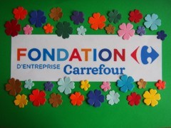 carrefour_2014_final_2