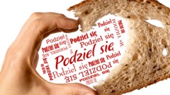 kromka_2015_240