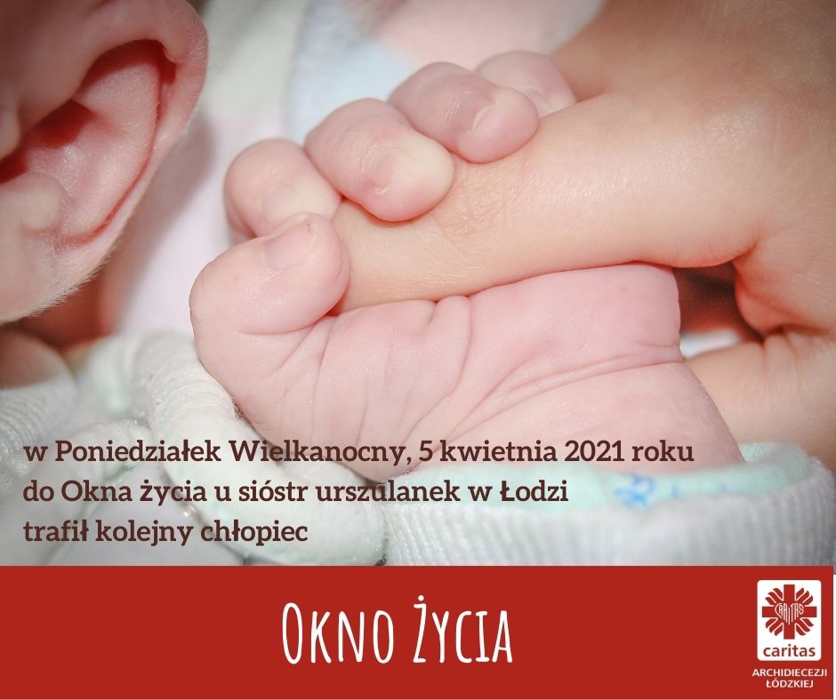 Okno ycia 05042021